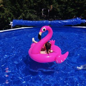 Meet your Posher, Jocelyn